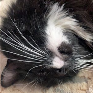 Meet your Posher, Eva